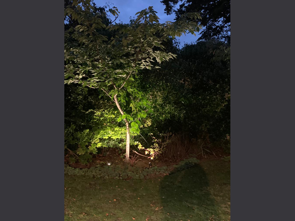 Garden and exterior lighting by Craig Garner Electrical Ltd. Surrey