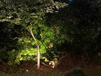 Garden and exterior lighting by Craig Garner Electrical Ltd. Surrey