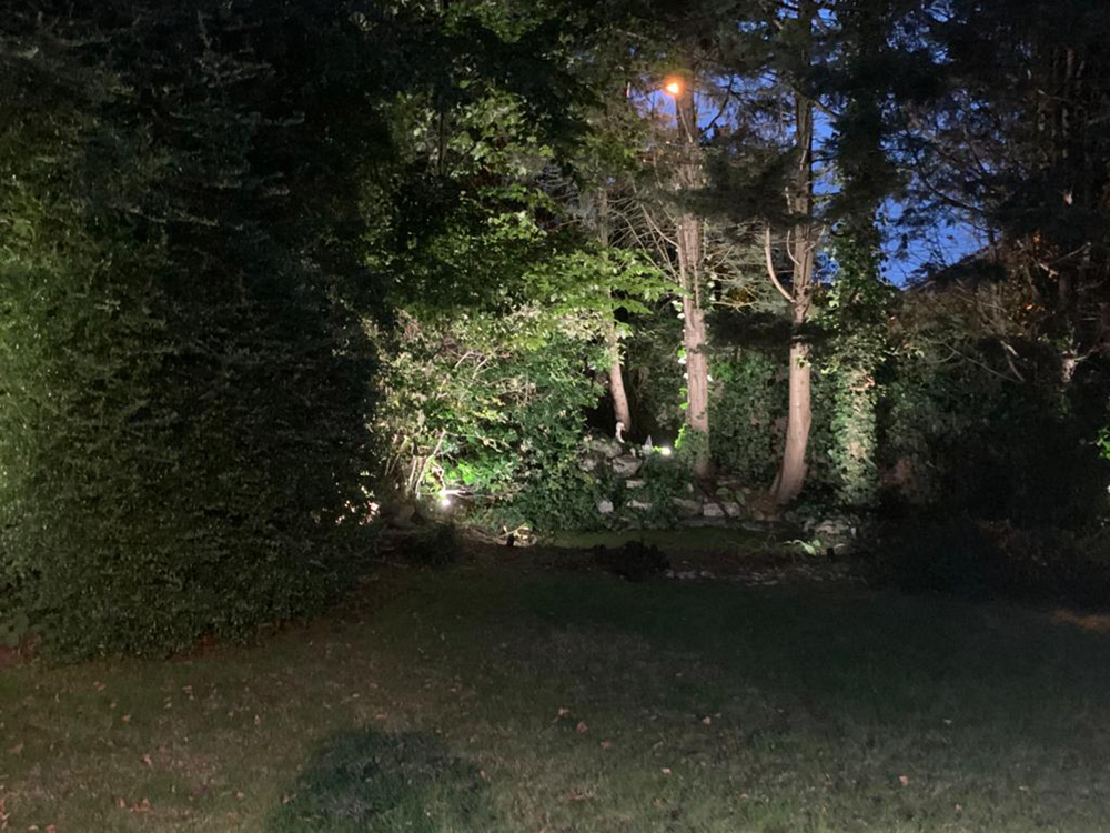 Garden and exterior lighting by Craig Garner Electrical Ltd. Surrey